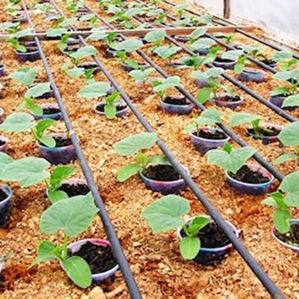 Набор для капельного полива Урожай-1 100 м