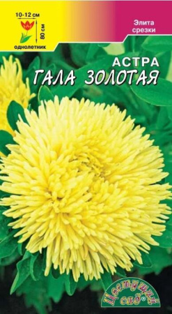 Семена Астра Гала Золотая Цветущий сад, 2 шт
