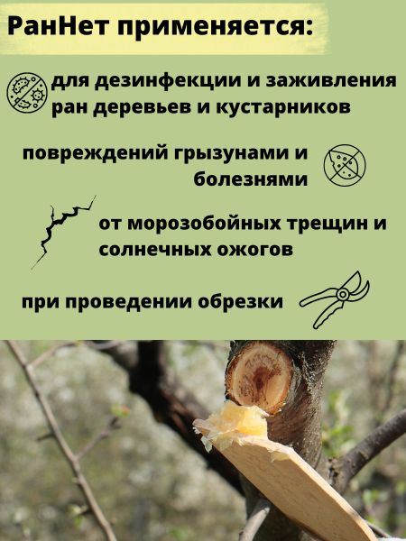 Раннет паста-замазка для заживления ран деревьев 600 г Раннет паста-замазка для заживления ран деревьев 600 г