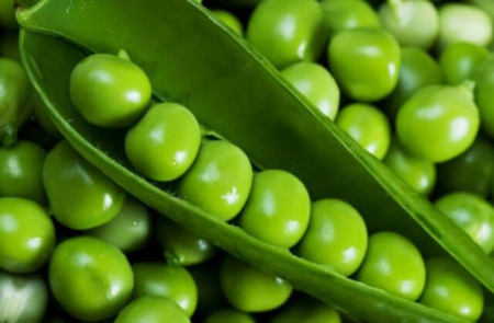 Семена Горох Преладо 4 гр Сибирский сад, 2 шт Семена Горох Преладо 4 гр Сибирский сад, 2 шт