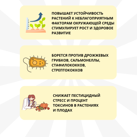 Фунгицид Микорад Bacsu 4.1 от плесени гнили фитофтороза 50 г