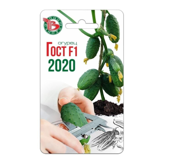 Семена Огурец Гост F1 АГ Биотехника Семена Огурец Гост F1 АГ Биотехника