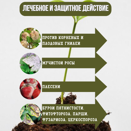 Фитохелп Биокомплекс-БТУ 250 мл