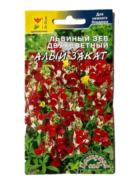 Семена Львиный зев двухцветный Алый закат новинка Цветущий сад