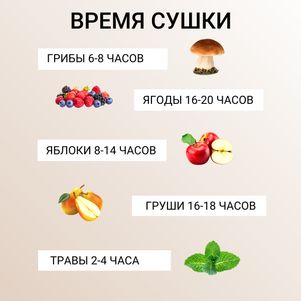 Сушилка для овощей и фруктов без терморегулятора Самобранка 75х50, 2 шт