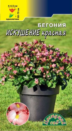 Семена Бегония Искушение Красная смесь Цветущий сад