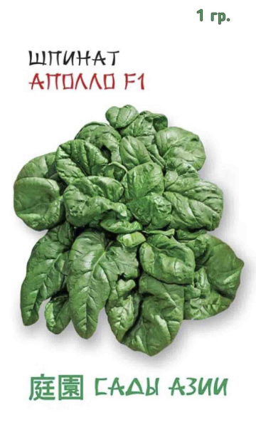 Семена Шпинат Аполло F1 1 гр Сады Азии