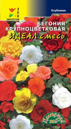Семена Бегония Крупноцветковая Идеал смесь Цветущий сад