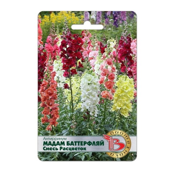 Семена Антирринум Мадам Баттерфляй смесь расцветок АГ Биотехника Семена Антирринум Мадам Баттерфляй смесь расцветок АГ Биотехника