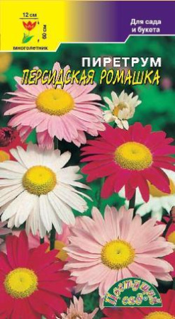 Семена Пиретрум Персидская Ромашка Цветущий сад