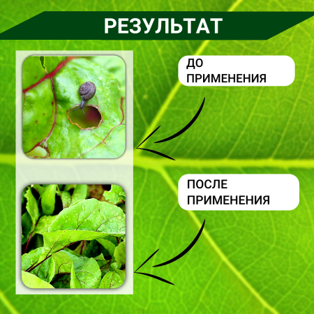 Приманка Слизняков НЕТ для защиты от слизней и улиток 80 г, 2 шт