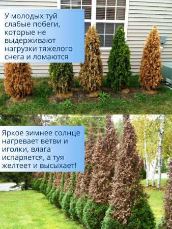 Зимнее укрытие с УФ Комплект для растений 60 г/м2, 1,5 х 1,6 м - 4шт, 1,6 х 2 м - 2 шт Благодатное Земледелие