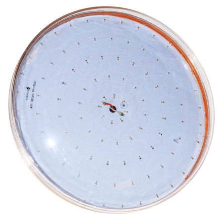 Фитолампа Е27 Блюдце D230 Биколор комфорт 20 Ватт