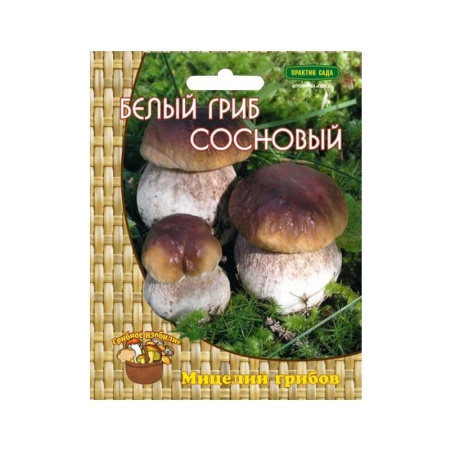 Мицелий грибов Белый гриб сосновый на компосте 60 мл