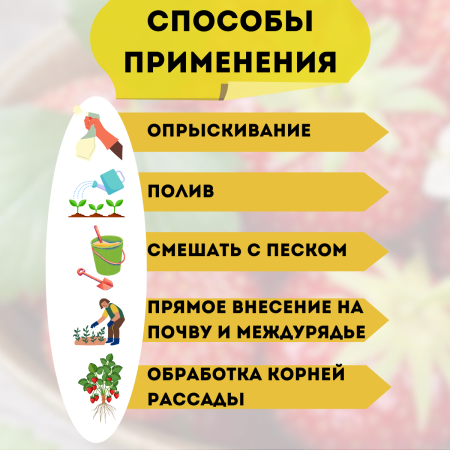 Удобрение Микорад NEMATO 3.1 Пециломикоз от нематоды стимулятор роста растений 50 г, 2 шт