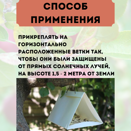 Феромонная ловушка от яблонной плодожорки