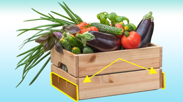 ЭМ-пластина ЭМ-пластина