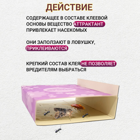 Argus Клеевая ловушка от пищевой моли, тараканов, муравьев, мокриц, пауков, 2 уп по 6 шт