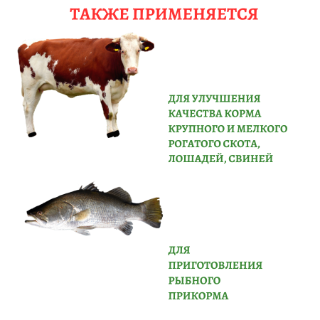 Питательная среда для почвенных микроорганизмов Патока 500 г Благодатное земледелие