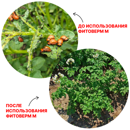 Средство защиты растений Фитоверм М 2 г/л КЭ 1000 мл