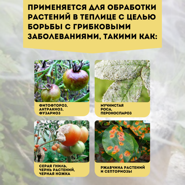 Дымовая шашка Гефест Фитофторник для борьбы с грибковыми заболеваниями 220 г, 10 шт