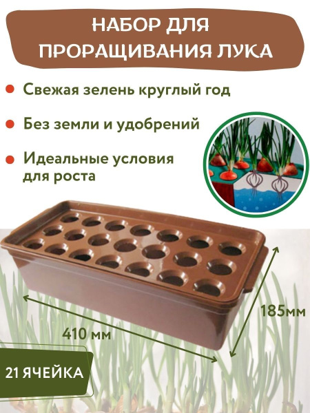 Набор для проращивания лука ВИТА с 21 ячейкой