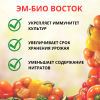 Микробиологическое удобрение Восток ЭМ-1 ЭМ-БИО, 2 шт по 0,5 л Микробиологическое удобрение Восток ЭМ-1 ЭМ-БИО, 2 шт по 0,5 л