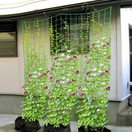 Сетка садовая шпалерная для вьющихся растений размером 2х3 м с ячейками 17х17 см