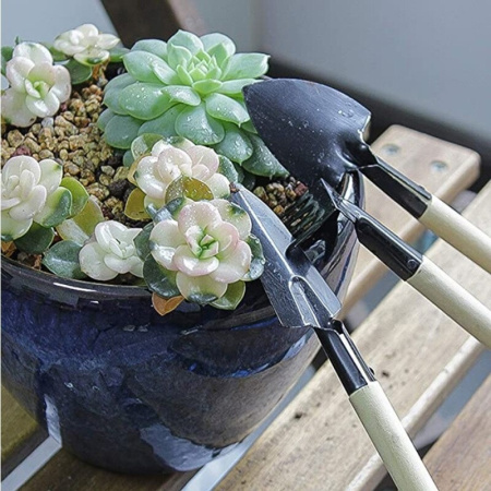 Большой набор для рассады