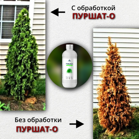 Средство защиты растений Пуршат-О концентрат для хвойных и декоративных 1 л