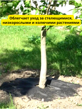 Приствольный круг Покров для деревьев и кустов с УФ стабилизатором черный 60 г/м2, 80 см, 5 шт Благодатное земледелие