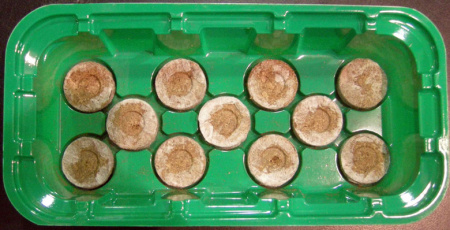 Мини-Парник под торфяные таблетки 11 мест