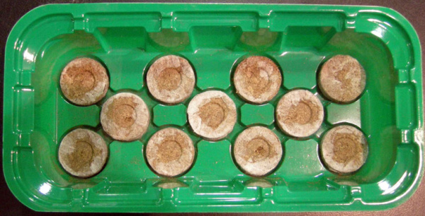 Мини-Парник под торфяные таблетки 11 мест