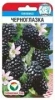 Семена Ежевика Черноглазка 10 шт Сибирский сад