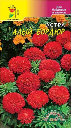 Семена Астра Бордюр Алый Цветущий сад