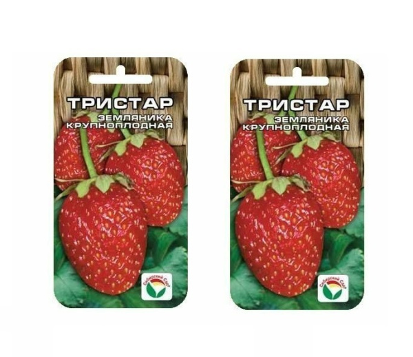 Семена Клубника Тристар 10 шт Сибирский сад, 2 шт