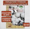 Мицелий грибов Шампиньон белый на субстрате 60 мл