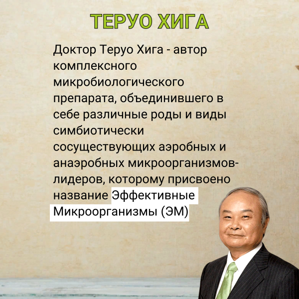 ЕМ-1 Возрожденное будущее книга Тероу Хига