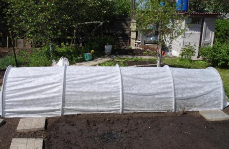 Парник Боровик 6 метров