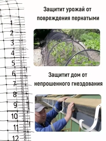 Сетка от птиц черная 2*5 м с ячейкой 6х6 мм
