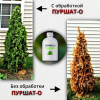 Средство защиты растений Пуршат-О концентрат для хвойных и декоративных 0,5 л