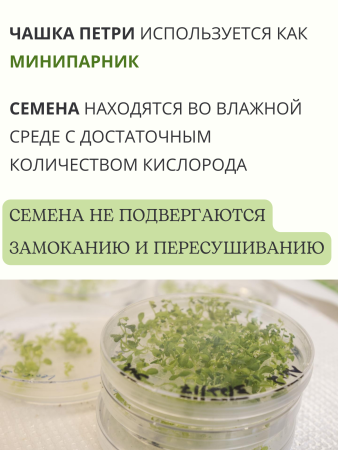 Чашка Петри пластиковая с крышкой D-90 мм