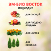Микробиологическое удобрение Восток ЭМ-1 ЭМ-БИО, 2 шт по 0,5 л Микробиологическое удобрение Восток ЭМ-1 ЭМ-БИО, 2 шт по 0,5 л