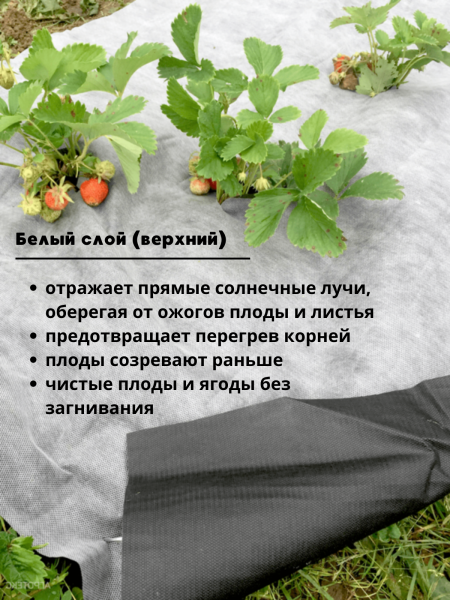 Укрывной материал Грядка в порядке для клубники и овощей с УФ стабилизатором бело-чёрный мульчирующий 80 г/м2, 1,6 х 5 м Благодатное Земледелие