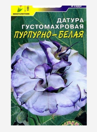 Семена Датура густомахровая Пурпурно-белая Цветущий сад
