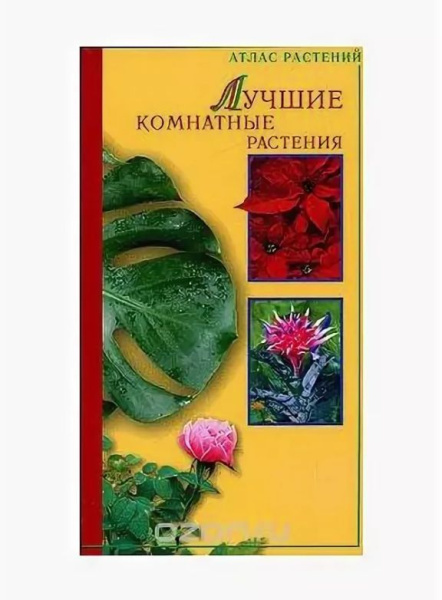 Лучшие комнатные растения а Лимаренко, т Палеева