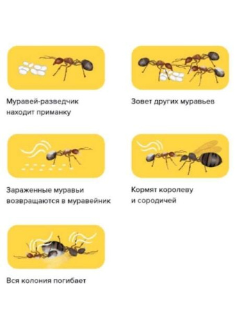 GEKTOR порошок от муравьев 300 гр, 4 шт