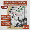 Мицелий грибов Шампиньон белый на субстрате 60 мл, 3 шт