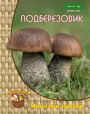Мицелий грибов Подберёзовик на компосте 60 мл