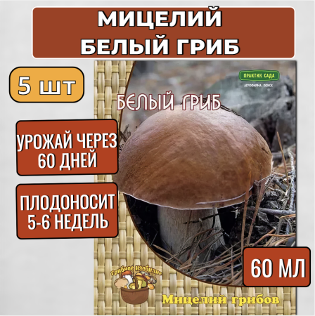 Мицелий грибов Белый гриб на компосте 60 мл, набор 5 шт